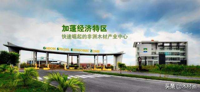 3月15日广州木工机械展