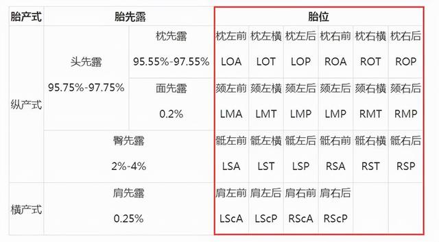到了这个孕周，胎儿“胎位”基本固定，以后再纠正就难了