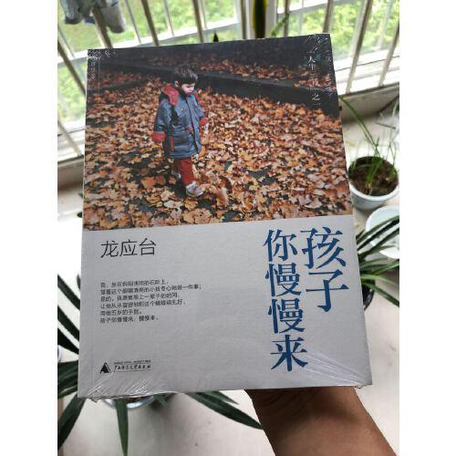 孩子你慢慢来经典语录孩子你慢慢来这本书的内容简介