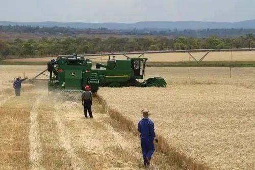 中国在非洲种地，美国为什么急了？