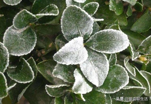 霜降来临，要多吃6种根菜，顺应时节应季而食，安稳度过季节交替