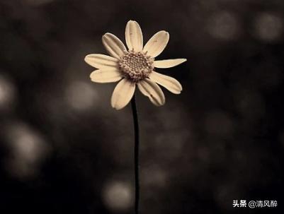 让人一看就赞的说说