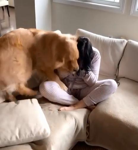 怎么训练狗狗跳到自己的怀里(狗狗睡在女主人的怀里)-艾拉养犬