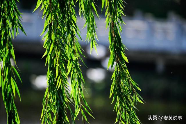 沾衣欲湿杏花雨的下一句