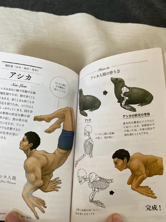 假如动物的结构放在人体上 这也太可怕了 今日热点