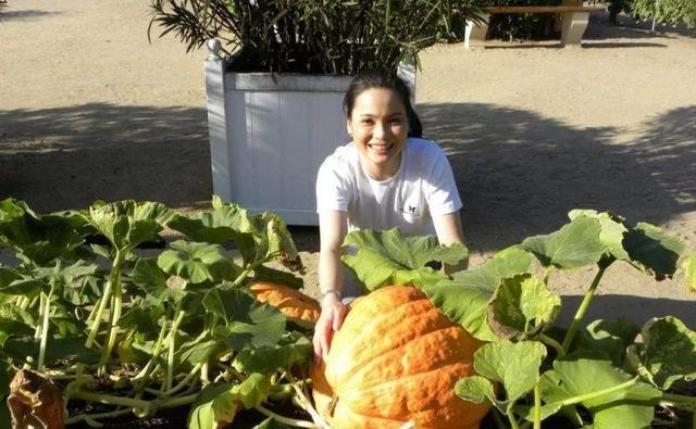 TVB《开心速递》三太患病至脱发，人前戴假发乐观面对人生低谷