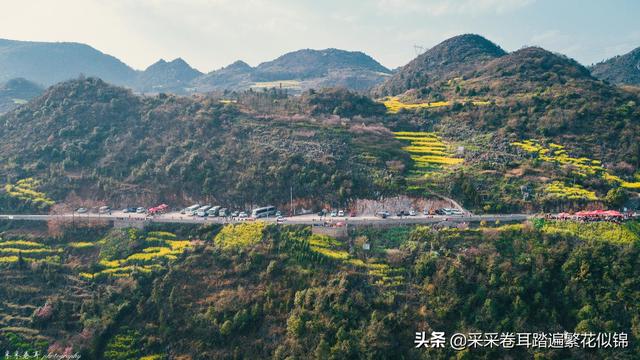 云南罗平油菜花