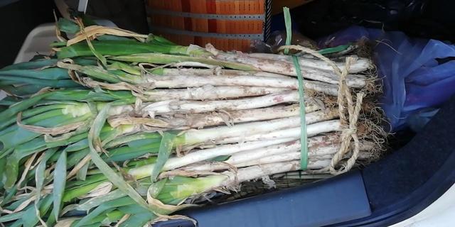 冬天了，心梗脑梗来袭，晚上少吃饺子，鸡肝，吃大葱