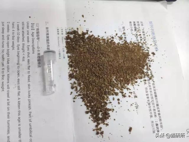 ld50是什么意思