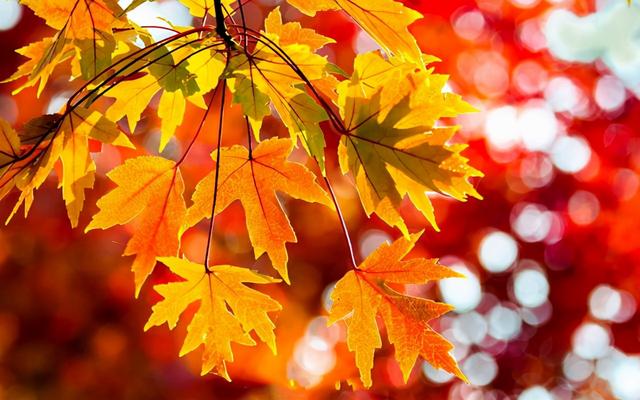 秋季肠胃疾病高发？应该如何预防？这3种预防措施要记好