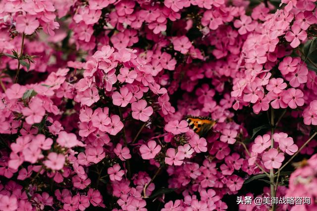 品牌设计公司介绍(正规的品牌设计)