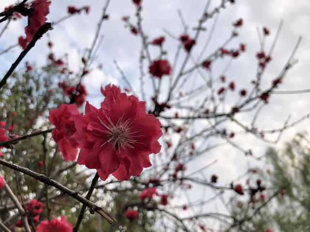 今日白露，老人说：今年白露不简单，五个节日五种习俗，有啥说法