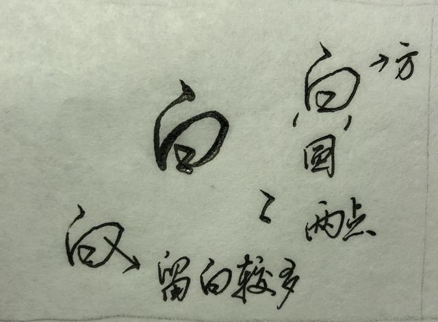 鸟的笔顺怎么写