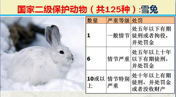 国家二级保护动物