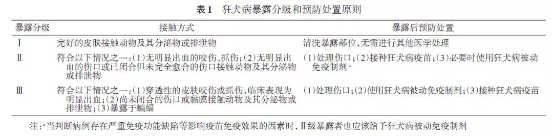 被狗狗咬了怎么办