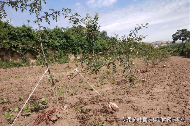 雅氏塑胶机械展