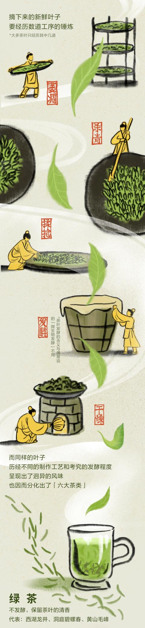 经常喝茶，好处有多大？