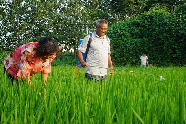 这农药能杀100多种害虫，1次喷药，有效期能够长达80多天