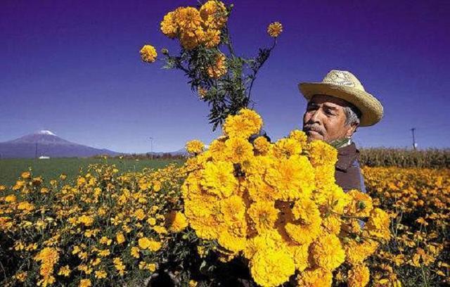 被毒品统治的墨西哥