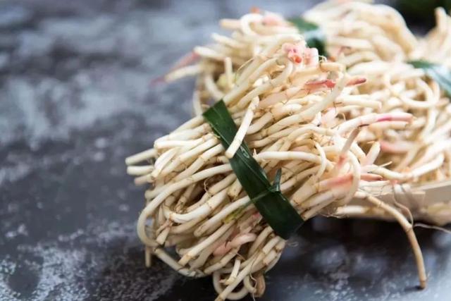 农村里田间地头上最常见又能吃的五种野菜，你认识几个？