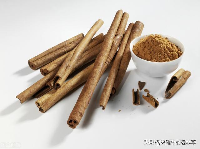 上热下寒？送你一味肉桂，将你的火气化为元气，不妨来了解下吧