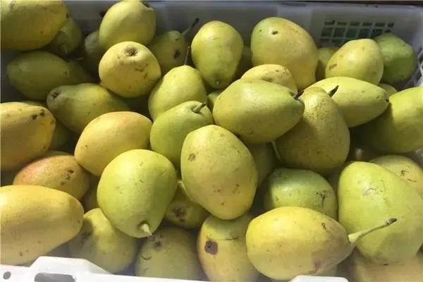 秋季干燥易上火，想要平息肝火，多吃5种食物，都不贵