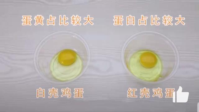 红壳鸡蛋和白壳鸡蛋的区别