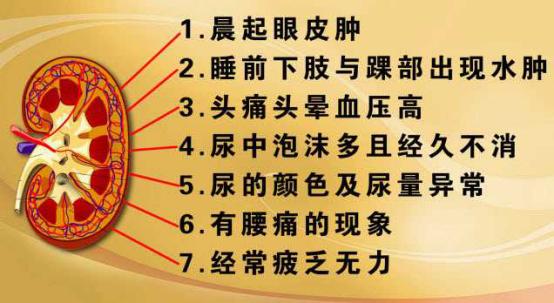 肾好不好一泡尿就能知晓？尿液常有几种变化，需给肾做检查