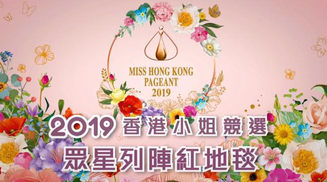 正式开幕！2019香港小姐总决赛：TVB出动200位人气艺人担任评委团