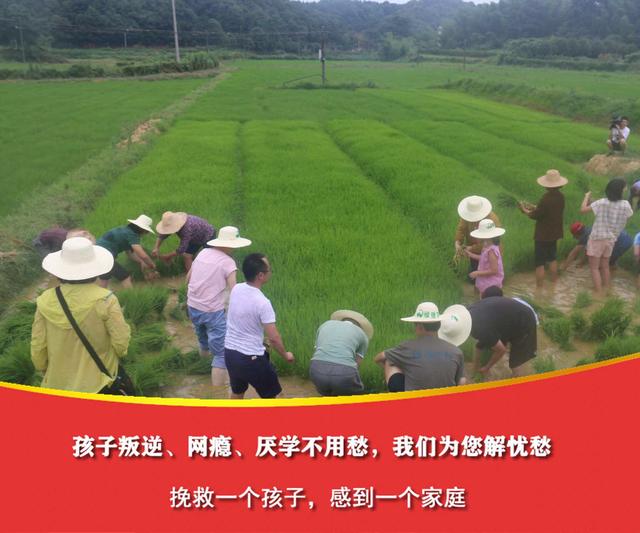 有问题青少年特训学校(问题青少年特训学校哪里有)(图3)