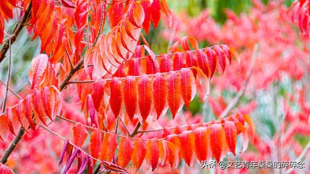 张掖过滤机