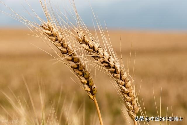 冬季这样补肾，养五脏，调肌瘤，健康过冬