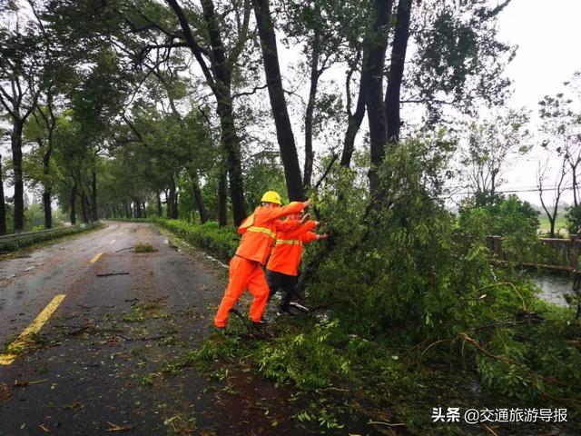 乌市新市区进口轮式洗砂机