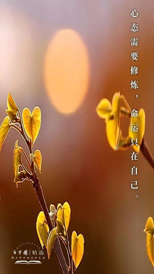心情不好的时候最好是一言不发