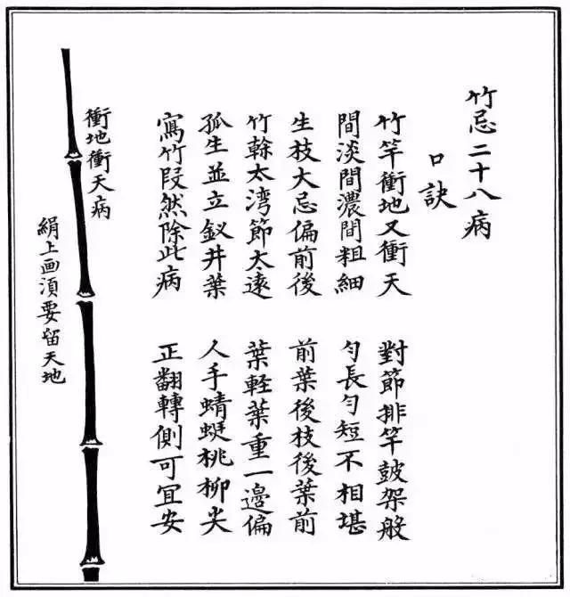 竹子怎么画 竹子怎么画