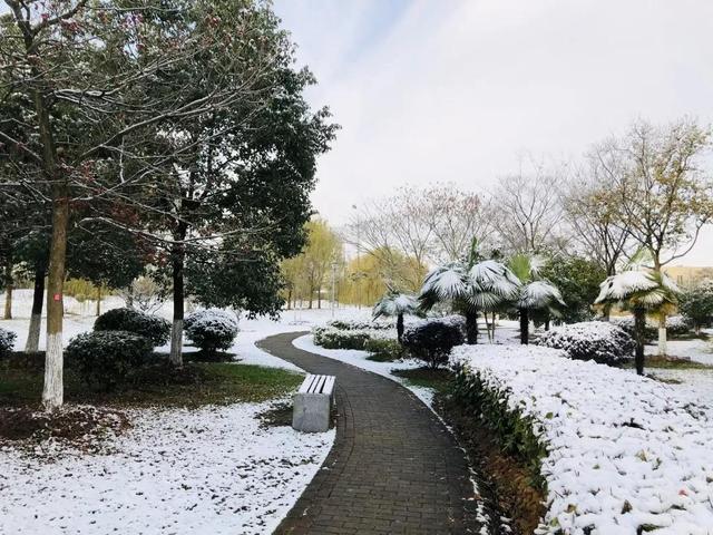 南京航天航空大学金城学院