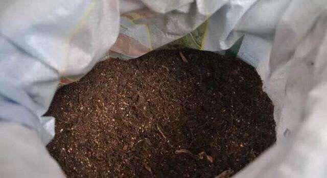 盆景土里有虫怎么办