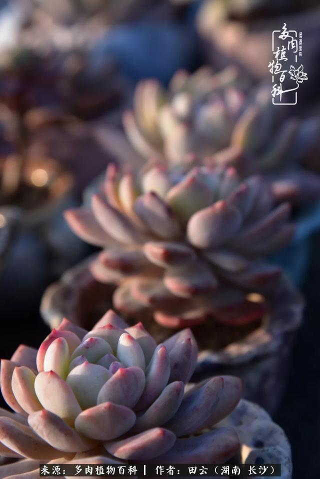 影片剧照