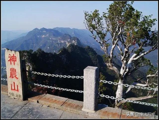 焦作市沁阳市过滤机