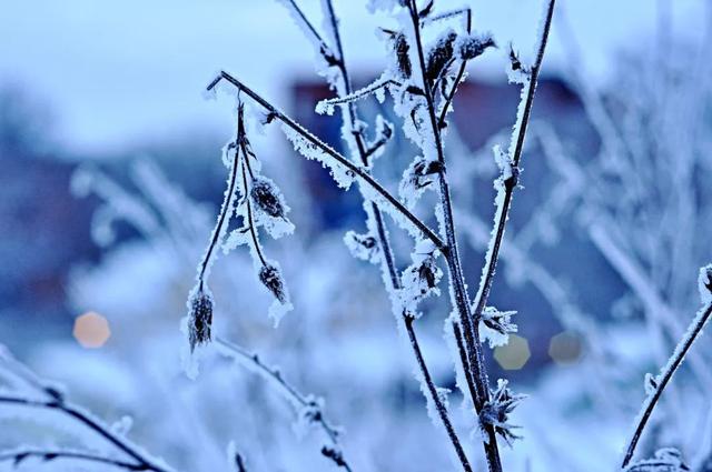 冬的诗句古诗，冬天很冷的诗？