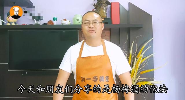 杨梅烧酒用什么制作？