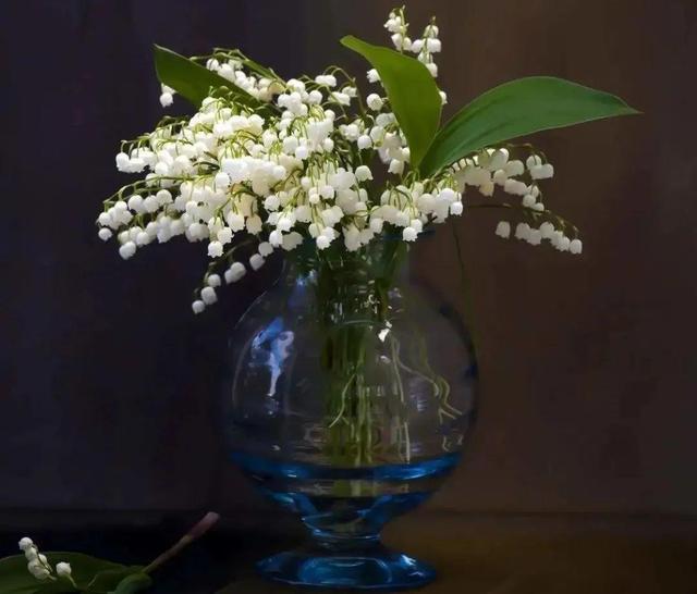 铃兰花 铃兰花（铃兰花钩针教程） 生活
