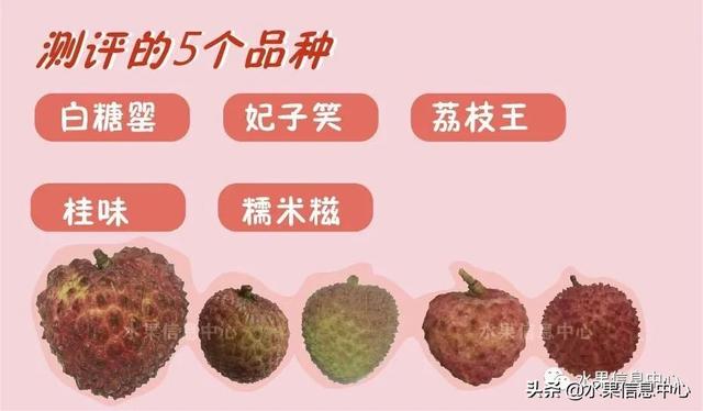 广东荔枝品种排名，桂味荔枝和糯米糍荔枝的价格比较
