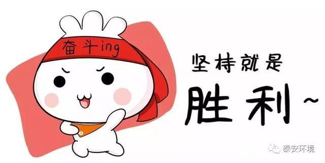 泰安风化砂洗沙机订制