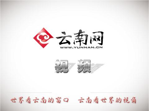 关于转载机带破碎机的信息