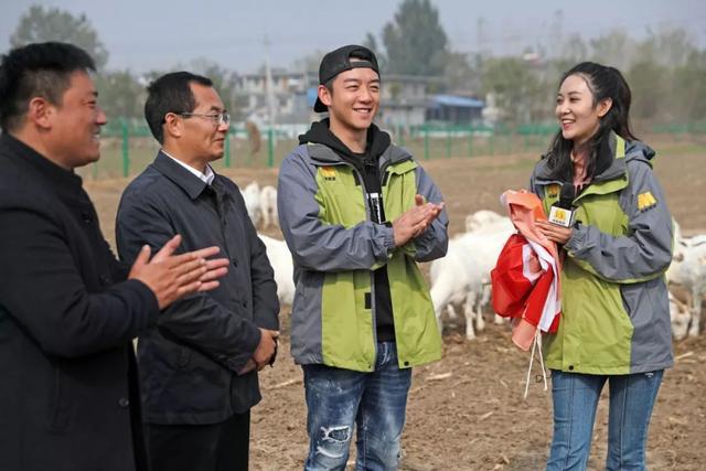 阜阳冲击式破碎机