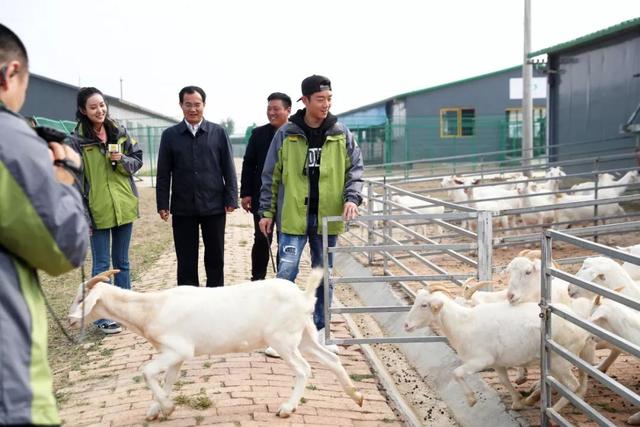 阜阳冲击式破碎机