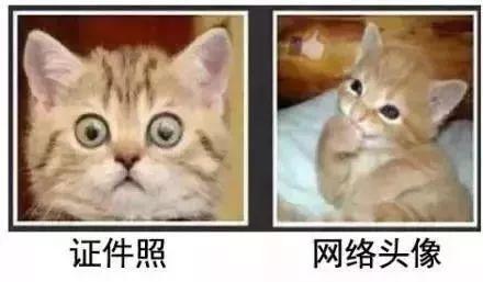 照身份证可以有刘海吗（照身份证可以有刘海吗-有什么要求）