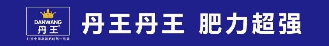 农药经营许可证才拿到？小心被吊销！