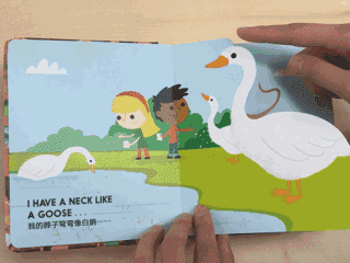 快乐启蒙破碎机